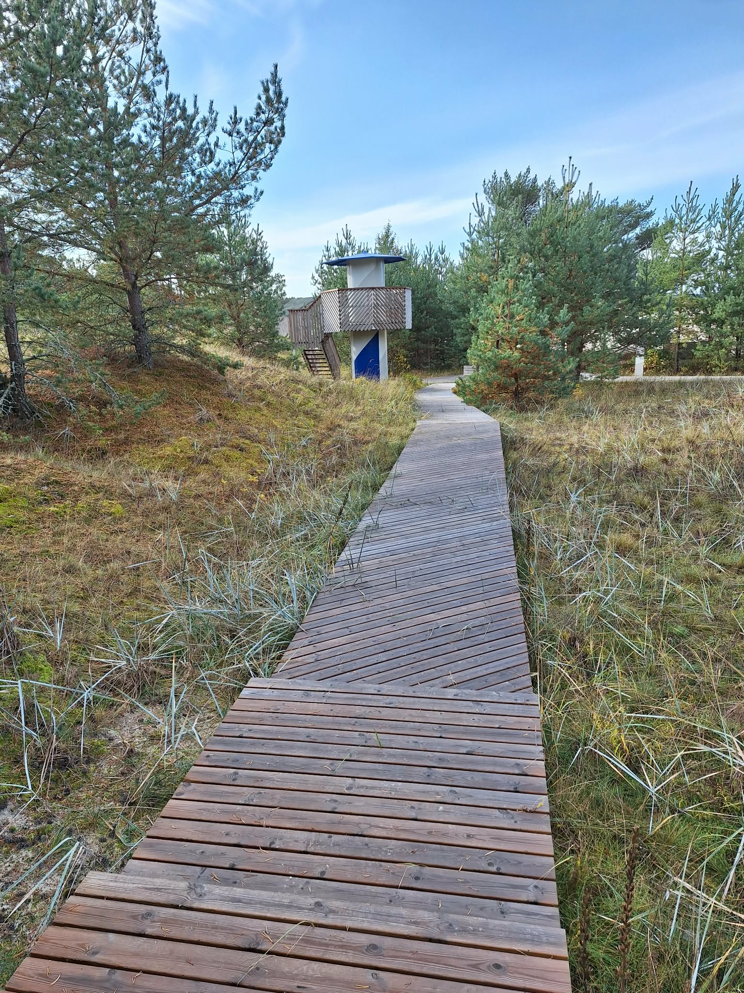 Kloogarand